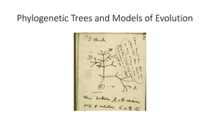 Phylogenetic Trees and Models of Evolution
 