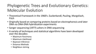 Phylogenetic Trees and Evolutionary Genetics:
Molecular Evolution
• Theoretical Framework in the 1960’s: Zuckerkandl, Pauling, Margoliash,
Fitch
• Originally based on comparing proteins based on electrophoresis and later
DNA via DNA-DNA hybridization experiments
• Sanger sequencing (1977) ushers in DNA sequencing
• A variety of techniques and statistical algorithms have been developed
over the decades:
• Maximum Parsimony
• Maximum Likelihood
• Bayesian Inference
• Distance Methods
• Neighbour-Joining
 