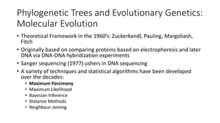 Phylogenetic Trees and Evolutionary Genetics:
Molecular Evolution
• Theoretical Framework in the 1960’s: Zuckerkandl, Pauling, Margoliash,
Fitch
• Originally based on comparing proteins based on electrophoresis and later
DNA via DNA-DNA hybridization experiments
• Sanger sequencing (1977) ushers in DNA sequencing
• A variety of techniques and statistical algorithms have been developed
over the decades:
• Maximum Parsimony
• Maximum Likelihood
• Bayesian Inference
• Distance Methods
• Neighbour-Joining
 