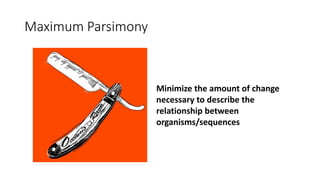 Maximum Parsimony
Minimize the amount of change
necessary to describe the
relationship between
organisms/sequences
 