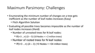 Maximum Parsimony: Challenges
• Enumerating the minimum number of changes on a tree gets
inefficient as the number of leaf nodes increases (Easy)
• Fitch Algorithm Solution
• Evaluating all possible trees becomes impossible as the number of
leaf nodes increases (Hard)
• Number of unrooted trees for N leaf nodes:
• π(i=3 ...n) (2i – 5) (10 Nodes = > 2 million trees)
• Number of rooted trees for N leaf nodes:
• π(i=3 ...n) (2i – 3) (10 Nodes = >34 million trees)
 