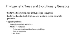 Phylogenetic Trees and Evolutionary Genetics
• Performed on Amino Acid or Nucleotide sequences
• Performed on basis of single-genes, multiple genes, or whole
genomes
• Typically rely on:
• Multiple sequence alignment
• Model of evolution
• Amino acid or nucleic acid exchange probabilities
• Rates of substitution
• Site classes
 