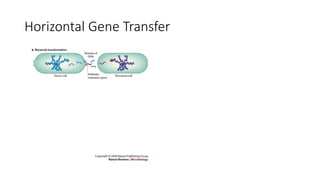 Horizontal Gene Transfer
 