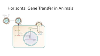Horizontal Gene Transfer in Animals
 