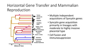 Horizontal Gene Transfer and Mammalian
Reproduction
• Multiple Independent
acquisitions of Syncytin genes
• Syncytin gene acquisition
primarily in lineages with
moderate to highly invasive
placental type
• Cell fusion and
immunosuppresion
 