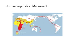 Human Population Movement
 