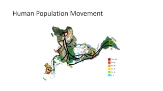 Human Population Movement
 