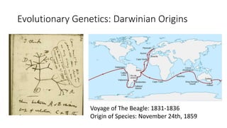 Evolutionary Genetics: Darwinian Origins
Voyage of The Beagle: 1831-1836
Origin of Species: November 24th, 1859
 