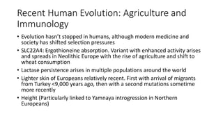 Recent Human Evolution: Agriculture and
Immunology
• Evolution hasn’t stopped in humans, although modern medicine and
society has shifted selection pressures
• SLC22A4: Ergothioneine absorption. Variant with enhanced activity arises
and spreads in Neolithic Europe with the rise of agriculture and shift to
wheat consumption
• Lactase persistence arises in multiple populations around the world
• Lighter skin of Europeans relatively recent. First with arrival of migrants
from Turkey <9,000 years ago, then with a second mutations sometime
more recently
• Height (Particularly linked to Yamnaya introgression in Northern
Europeans)
 