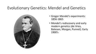 Evolutionary Genetics: Mendel and Genetics
• Gregor Mendel's experiments:
1856-1865
• Mendel's rediscovery and early
modern genetics (de Vries,
Bateson, Morgan, Punnet): Early
1900’s
 
