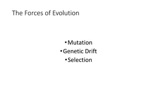 The Forces of Evolution
•Mutation
•Genetic Drift
•Selection
 
