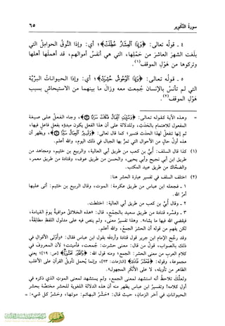 تفسير جزء عم - مساعد بن سليمان بن ناصر الطيار