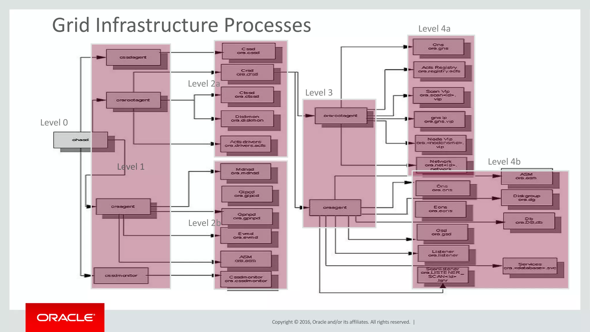 Copyright	©	2016, Oracle	and/or	its	affiliates.	All	rights	reserved.		|
Grid	Infrastructure	Processes
Level	1
Level	2a
Level	2b
Level	3
Level	4a
Level	4b
Level	0
 