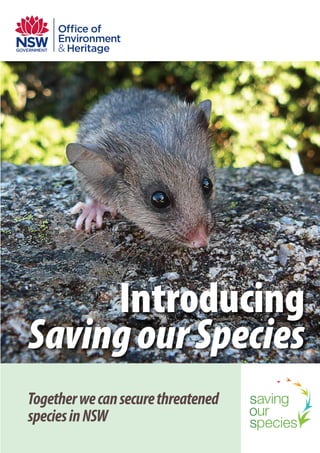 SavingourSpecies
Introducing
Togetherwecansecurethreatened
speciesinNSW
 