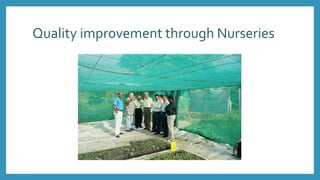 Quality improvement through Nurseries
 