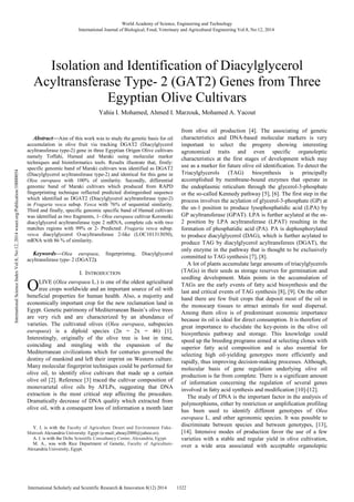 Abstract—Aim of this work was to study the genetic basis for oil
accumulation in olive fruit via tracking DGAT2 (Diacylglycerol
acyltransferase type-2) gene in three Egyptian Origen Olive cultivars
namely Toffahi, Hamed and Maraki using molecular marker
techniques and bioinformatics tools. Results illustrate that, firstly:
specific genomic band of Maraki cultivars was identified as DGAT2
(Diacylglycerol acyltransferase type-2) and identical for this gene in
Olea europaea with 100% of similarity. Secondly, differential
genomic band of Maraki cultivars which produced from RAPD
fingerprinting technique reflected predicted distinguished sequence
which identified as DGAT2 (Diacylglycerol acyltransferase type-2)
in Fragaria vesca subsp. Vesca with 76% of sequential similarity.
Third and finally, specific genomic specific band of Hamed cultivars
was identified as two fragments, 1- Olea europaea cultivar Koroneiki
diacylglycerol acyltransferase type 2 mRNA, complete cds with two
matches regions with 99% or 2- Predicted: Fragaria vesca subsp.
vesca diacylglycerol O-acyltransferase 2-like (LOC101313050),
mRNA with 86 % of similarity.
Keywords—Olea europaea, fingerprinting, Diacylglycerol
acyltransferase type- 2 (DGAT2).
I. INTRODUCTION
LIVE (Olea europaea L.) is one of the oldest agricultural
tree crops worldwide and an important source of oil with
beneficial properties for human health. Also, a majority and
economically important crop for the new reclamation land in
Egypt. Genetic patrimony of Mediterranean Basin’s olive trees
are very rich and are characterized by an abundance of
varieties. The cultivated olives (Olea europaea, subspecies
europaea) is a diploid species (2n = 2x = 46) [1].
Interestingly, originally of the olive tree is lost in time,
coinciding and mingling with the expansion of the
Mediterranean civilizations which for centuries governed the
destiny of mankind and left their imprint on Western culture.
Many molecular fingerprint techniques could be performed for
olive oil, to identify olive cultivars that made up a certain
olive oil [2]. Reference [3] traced the cultivar composition of
monovarietal olive oils by AFLPs, suggesting that DNA
extraction is the most critical step affecting the procedure.
Dramatically decrease of DNA quality which extracted from
olive oil, with a consequent loss of information a month later
Y. I. is with the Faculty of Agriculture Desert and Environment Fuka–
Matrouh Alexandria University: Egypt (e-mail: aboay2000@yahoo.es).
A. I. is with the Delta Scientific Consultancy Center, Alexandria, Egypt.
M. A., was with Rice Department of Genetic, Faculty of Agriculture-
Alexandria University, Egypt.
from olive oil production [4]. The associating of genetic
characteristics and DNA-based molecular markers is very
important to select the progeny showing interesting
agronomical traits and even specific organoleptic
characteristics at the first stages of development which may
use as a marker for future olive oil identification. To detect the
Triacylglycerols (TAG) biosynthesis is principally
accomplished by membrane-bound enzymes that operate in
the endoplasmic reticulum through the glycerol-3-phosphate
or the so-called Kennedy pathway [5], [6]. The first step in the
process involves the acylation of glycerol-3-phosphate (GP) at
the sn-1 position to produce lysophosphatidic acid (LPA) by
GP acyltransferase (GPAT). LPA is further acylated at the sn-
2 position by LPA acyltransferase (LPAT) resulting in the
formation of phosphatidic acid (PA). PA is dephosphorylated
to produce diacylglycerol (DAG), which is further acylated to
produce TAG by diacylglycerol acyltransferees (DGAT), the
only enzyme in the pathway that is thought to be exclusively
committed to TAG synthesis [7], [8].
A lot of plants accumulate large amounts of triacylglycerols
(TAGs) in their seeds as storage reserves for germination and
seedling development. Main points in the accumulation of
TAGs are the early events of fatty acid biosynthesis and the
last and critical events of TAG synthesis [8], [9]. On the other
hand there are few fruit crops that deposit most of the oil in
the monocarp tissues to attract animals for seed dispersal.
Among them olive is of predominant economic importance
because its oil is ideal for direct consumption. It is therefore of
great importance to elucidate the key-points in the olive oil
biosynthesis pathway and storage. This knowledge could
speed up the breeding programs aimed at selecting clones with
superior fatty acid composition and is also essential for
selecting high oil-yielding genotypes more efficiently and
rapidly, thus improving decision-making processes. Although,
molecular basis of gene regulation underlying olive oil
production is far from complete. There is a significant amount
of information concerning the regulation of several genes
involved in fatty acid synthesis and modification [10]-[12].
The study of DNA is the important factor in the analysis of
polymorphisms, either by restriction or amplification profiling
has been used to identify different genotypes of Olea
europaea L. and other agronomic species. It was possible to
discriminate between species and between genotypes, [13],
[14]. Intensive modes of production favor the use of a few
varieties with a stable and regular yield in olive cultivation,
over a wide area associated with acceptable organoleptic
Isolation and Identification of Diacylglycerol
Acyltransferase Type- 2 (GAT2) Genes from Three
Egyptian Olive Cultivars
Yahia I. Mohamed, Ahmed I. Marzouk, Mohamed A. Yacout
O
World Academy of Science, Engineering and Technology
International Journal of Biological, Food, Veterinary and Agricultural Engineering Vol:8, No:12, 2014
1322International Scholarly and Scientific Research & Innovation 8(12) 2014
InternationalScienceIndexVol:8,No:12,2014waset.org/Publication/10000054
 