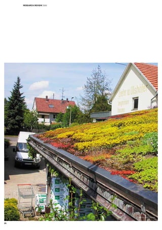 Photo by John Rayner
RESEARCH REVIEW 2009
24
 