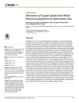 RESEARCH ARTICLE
Mechanism of Copper Uptake from Blood
Plasma Ceruloplasmin by Mammalian Cells
Danny Ramos, David Mar☯
, Michael Ishida☯
, Rebecca Vargas‡
, Michaella Gaite‡
,
Aaron Montgomery, Maria C. Linder*
Department of Chemistry and Biochemistry, California State University, Fullerton, California, United States of
America
☯ These authors contributed equally to this work.
‡ These authors also contributed equally to this work.
* mlinder@fullerton.edu
Abstract
Ceruloplasmin, the main copper binding protein in blood plasma, has been of particular
interest for its role in efflux of iron from cells, but has additional functions. Here we tested
the hypothesis that it releases its copper for cell uptake by interacting with a cell surface
reductase and transporters, producing apoceruloplasmin. Uptake and transepithelial trans-
port of copper from ceruloplasmin was demonstrated with mammary epithelial cell monolay-
ers (PMC42) with tight junctions grown in bicameral chambers, and purified human 64
Cu-
labeled ceruloplasmin secreted by HepG2 cells. Monolayers took up virtually all the 64
Cu
over 16h and secreted half into the apical (milk) fluid. This was partly inhibited by Ag(I). The
64
Cu in ceruloplasmin purified from plasma of 64
Cu-injected mice accumulated linearly in
mouse embryonic fibroblasts (MEFs) over 3-6h. Rates were somewhat higher in Ctr1+/+
versus Ctr1-/- cells, and 3-fold lower at 2°C. The ceruloplasmin-derived 64
Cu could not be
removed by extensive washing or trypsin treatment, and most was recovered in the cytosol.
Actual cell copper (determined by furnace atomic absorption) increased markedly upon 24h
exposure to holoceruloplasmin. This was accompanied by a conversion of holo to apoceru-
loplasmin in the culture medium and did not occur during incubation in the absence of cells.
Four different endocytosis inhibitors failed to prevent 64
Cu uptake from ceruloplasmin. High
concentrations of non-radioactive Cu(II)- or Fe(III)-NTA (substrates for cell surface reduc-
tases), or Cu(I)-NTA (to compete for transporter uptake) almost eliminated uptake of 64
Cu
from ceruloplasmin. MEFs had cell surface reductase activity and expressed Steap 2 (but
not Steaps 3 and 4 or dCytB). However, six-day siRNA treatment was insufficient to reduce
activity or uptake. We conclude that ceruloplasmin is a circulating copper transport protein
that may interact with Steap2 on the cell surface, forming apoceruloplasmin, and Cu(I) that
enters cells through CTR1 and an unknown copper uptake transporter.
PLOS ONE | DOI:10.1371/journal.pone.0149516 March 2, 2016 1 / 23
OPEN ACCESS
Citation: Ramos D, Mar D, Ishida M, Vargas R, Gaite
M, Montgomery A, et al. (2016) Mechanism of
Copper Uptake from Blood Plasma Ceruloplasmin by
Mammalian Cells. PLoS ONE 11(3): e0149516.
doi:10.1371/journal.pone.0149516
Editor: Paul A Cobine, Auburn University, UNITED
STATES
Received: August 10, 2015
Accepted: February 1, 2016
Published: March 2, 2016
Copyright: © 2016 Ramos et al. This is an open
access article distributed under the terms of the
Creative Commons Attribution License, which permits
unrestricted use, distribution, and reproduction in any
medium, provided the original author and source are
credited.
Data Availability Statement: All relevant data are
within the paper.
Funding: The work was mainly funded by United
States Public Health Service Grant R15 GM100464,
and partly by United States Public Health Service
Grant RO1 HD46949 to MCL. DR was supported by
an undergraduate education grant from the Howard
Hughes Medical Institute to California State University
Fullerton; RV by a National Institutes of Health
Minority Access to Research Careers grant to
California State University Fullerton.
 