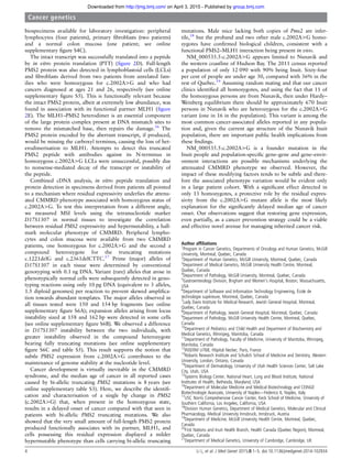 biospecimens available for laboratory investigation: peripheral
lymphocytes (four patients), primary ﬁbroblasts (two patients)
and a normal colon mucosa (one patient; see online
supplementary ﬁgure S4C).
The intact transcript was successfully translated into a peptide
by in vitro protein translation (PTT) (ﬁgure 2D). Full-length
PMS2 protein was also detected in lymphoblastoid cells (LCLs)
and ﬁbroblasts derived from two patients from unrelated fam-
ilies who were homozygous for c.2002A>G and who had
cancers diagnosed at ages 21 and 26, respectively (see online
supplementary ﬁgure S5). This is functionally relevant because
the intact PMS2 protein, albeit at extremely low abundance, was
found in association with its functional partner MLH1 (ﬁgure
2E). The MLH1–PMS2 heterodimer is an essential component
of the large protein complex present at DNA mismatch sites to
remove the mismatched base, then repairs the damage.16
The
PMS2 protein encoded by the aberrant transcript, if produced,
would be missing the carboxyl terminus, causing the loss of het-
erodimerisation to MLH1. Attempts to detect this truncated
PMS2 peptide with antibodies against its N-terminus in
homozygous c.2002A>G LCLs were unsuccessful, possibly due
to nonsense-mediated decay of the transcript or instability of
the peptide.
Combined cDNA analysis, in vitro peptide translation and
protein detection in specimens derived from patients all pointed
to a mechanism where residual expressivity underlies the attenu-
ated CMMRD phenotype associated with homozygous status of
c.2002A>G. To test this interpretation from a different angle,
we measured MSI levels using the tetranucleotide marker
D17S1307 in normal tissues to investigate the correlation
between residual PMS2 expressivity and hypermutability, a hall-
mark molecular phenotype of CMMRD. Peripheral lympho-
cytes and colon mucosa were available from two CMMRD
patients, one homozygous for c.2002A>G and the second a
compound heterozygote for the truncating mutations
c.1221delG and c.2361delCTTC.17
Prime (major) alleles of
D17S1307 in each tissue were determined by conventional
genotyping with 0.1 ng DNA. Variant (rare) alleles that arose in
phenotypically normal cells were subsequently detected in geno-
typing reactions using only 10 pg DNA (equivalent to 3 alleles,
1.5 diploid genomes) per reaction to prevent skewed ampliﬁca-
tion towards abundant templates. The major alleles observed in
all tissues tested were 150 and 154 bp fragments (see online
supplementary ﬁgure S6A); expansion alleles arising from locus
instability sized at 158 and 162 bp were detected in some cells
(see online supplementary ﬁgure S6B). We observed a difference
in D17S1307 instability between the two individuals, with
greater instability observed in the compound heterozygote
bearing fully truncating mutations (see online supplementary
ﬁgure S6C and table S5). This result supports the notion that
subtle PMS2 expression from c.2002A>G contributes to the
maintenance of genome stability at the nucleotide level.
Cancer development is virtually inevitable in the CMMRD
syndrome, and the median age of cancer in all reported cases
caused by bi-allelic truncating PMS2 mutations is 8 years (see
online supplementary table S3). Here, we describe the identiﬁ-
cation and characterisation of a single bp change in PMS2
(c.2002A>G) that, when present in the homozygous state,
results in a delayed onset of cancer compared with that seen in
patients with bi-allelic PMS2 truncating mutations. We also
showed that the very small amount of full-length PMS2 protein
produced functionally associates with its partner, MLH1, and
cells possessing this residual expression displayed a milder
hypermutable phenotype than cells carrying bi-allelic truncating
mutations. Male mice lacking both copies of Pms2 are infer-
tile,18
but the proband and two other male c.2002A>G homo-
zygotes have conﬁrmed biological children, consistent with a
functional PMS2–MLH1 interaction being present in vivo.
NM_000535.5:c.2002A>G appears limited to Nunavik and
the western coastline of Hudson Bay. The 2011 census reported
a population of only 12 090 with 90% being Inuit. Sixty-four
per cent of people are under age 30, compared with 36% in the
rest of Quebec.19
Assuming random mating and that our cancer
clinics identiﬁed all homozygotes, and using the fact that 11 of
the homozygous persons are from Nunavik, then under Hardy–
Weinberg equilibrium there should be approximately 670 Inuit
persons in Nunavik who are heterozygous for the c.2002A>G
variant (one in 16 in the population). This variant is among the
most common cancer-associated alleles reported in any popula-
tion and, given the current age structure of the Nunavik Inuit
population, there are important public health implications from
these ﬁndings.
NM_000535.5:c.2002A>G is a founder mutation in the
Inuit people and population-speciﬁc gene–gene and gene–envir-
onment interactions are possible mechanisms underlying the
attenuated CMMRD phenotype we observed. However, the
impact of these modifying factors tends to be subtle and there-
fore the associated phenotype variation would be evident only
in a large patient cohort. With a signiﬁcant effect detected in
only 13 homozygotes, a protective role by the residual expres-
sivity from the c.2002A>G mutant allele is the most likely
explanation for the signiﬁcantly delayed median age of cancer
onset. Our observations suggest that restoring gene expression,
even partially, as a cancer prevention strategy could be a viable
and effective novel avenue for managing inherited cancer risk.
Author afﬁliations
1
Program in Cancer Genetics, Departments of Oncology and Human Genetics, McGill
University, Montreal, Quebec, Canada
2
Department of Human Genetics, McGill University, Montreal, Quebec, Canada
3
Department of Medical Genetics, McGill University Health Centre, Montreal,
Quebec, Canada
4
Department of Pathology, McGill University, Montreal, Quebec, Canada
5
Gastroenterology Division, Brigham and Women’s Hospital, Boston, Massachusetts,
USA
6
Department of Software and Information Technology Engineering, École de
technologie supérieure, Montreal, Quebec, Canada
7
Lady Davis Institute for Medical Research, Jewish General Hospital, Montreal,
Quebec, Canada
8
Department of Pathology, Jewish General Hospital, Montreal, Quebec, Canada
9
Department of Pathology, McGill University Health Centre, Montreal, Quebec,
Canada
10
Department of Pediatrics and Child Health and Department of Biochemistry and
Medical Genetics, Winnipeg, Manitoba, Canada
11
Department of Pathology, Faculty of Medicine, University of Manitoba, Winnipeg,
Manitoba, Canada
12
INSERM U768, Hôpital Necker, Paris, France
13
Robarts Research Institute and Schulich School of Medicine and Dentistry, Western
University, London, Ontario, Canada
14
Department of Dermatology, University of Utah Health Sciences Center, Salt Lake
City, Utah, USA
15
Systems Biology Center, National Heart, Lung and Blood Institute, National
Institutes of Health, Bethesda, Maryland, USA
16
Department of Molecular Medicine and Medical Biotechnology and CEINGE
Biotechnologie Avanzate, University of Naples—Federico II, Naples, Italy
17
USC Norris Comprehensive Cancer Center, Keck School of Medicine, University of
Southern California, Los Angeles, California, USA
18
Division Human Genetics, Department of Medical Genetics, Molecular and Clinical
Pharmacology, Medical University Innsbruck, Innsbruck, Austria
19
Department of Medicine, McGill University Health Centre, Montreal, Quebec,
Canada
20
First Nations and Inuit Health Branch, Health Canada (Quebec Region), Montreal,
Quebec, Canada
21
Department of Medical Genetics, University of Cambridge, Cambridge, UK
4 Li L, et al. J Med Genet 2015;0:1–5. doi:10.1136/jmedgenet-2014-102934
Cancer genetics
group.bmj.comon April 3, 2015 - Published byhttp://jmg.bmj.com/Downloaded from
 