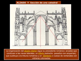 ALZADO Y Sección de una catedral
           gótica




La organización del alzado interior sigue su precedente románico: arcadas que
 conducen a las naves laterales, un triforio (estrecho pasadizo con arquerías),
que sustituye a la tribuna románica y un claristorio o cuerpo de ventanales con
                              vidrieras coloreadas.
 