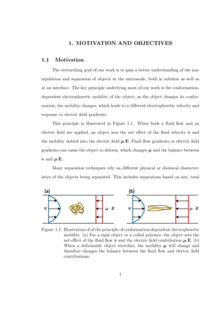 1. MOTIVATION AND OBJECTIVES
1.1 Motivation
The overarching goal of our work is to gain a better understanding of the ma-
nipulation and separation of objects at the microscale, both in solution as well as
at an interface. The key principle underlying most of our work is the conformation-
dependent electrophoretic mobility of the object; as the object changes its confor-
mation, the mobility changes, which leads to a diﬀerent electrophoretic velocity and
response to electric ﬁeld gradients.
This principle is illustrated in Figure 1.1. When both a ﬂuid ﬂow and an
electric ﬁeld are applied, an object sees the net eﬀect of the ﬂuid velocity v and
the mobility dotted into the electric ﬁeld µ·E. Fluid ﬂow gradients or electric ﬁeld
gradients can cause the object to deform, which changes µ and the balance between
v and µ·E.
Many separation techniques rely on diﬀerent physical or chemical character-
istics of the objects being separated. This includes separations based on size, total
Figure 1.1: Illustration of of the principle of conformation-dependent electrophoretic
mobility. (a) For a rigid object or a coiled polymer, the object sees the
net eﬀect of the ﬂuid ﬂow v and the electric ﬁeld contribution µ·E. (b)
When a deformable object stretches, the mobility µ will change and
therefore changes the balance between the ﬂuid ﬂow and electric ﬁeld
contributions.
1
 