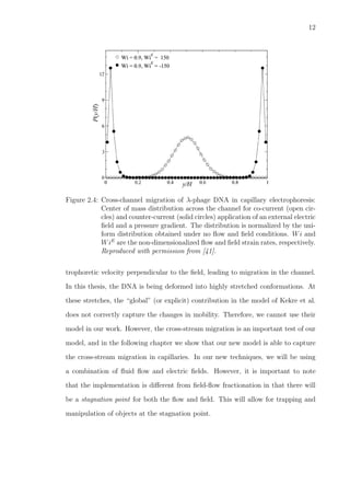 12
Figure 2.4: Cross-channel migration of λ-phage DNA in capillary electrophoresis:
Center of mass distribution across the channel for co-current (open cir-
cles) and counter-current (solid circles) application of an external electric
ﬁeld and a pressure gradient. The distribution is normalized by the uni-
form distribution obtained under no ﬂow and ﬁeld conditions. Wi and
WiE
are the non-dimensionalized ﬂow and ﬁeld strain rates, respectively.
Reproduced with permission from [41].
trophoretic velocity perpendicular to the ﬁeld, leading to migration in the channel.
In this thesis, the DNA is being deformed into highly stretched conformations. At
these stretches, the “global” (or explicit) contribution in the model of Kekre et al.
does not correctly capture the changes in mobility. Therefore, we cannot use their
model in our work. However, the cross-stream migration is an important test of our
model, and in the following chapter we show that our new model is able to capture
the cross-stream migration in capillaries. In our new techniques, we will be using
a combination of ﬂuid ﬂow and electric ﬁelds. However, it is important to note
that the implementation is diﬀerent from ﬁeld-ﬂow fractionation in that there will
be a stagnation point for both the ﬂow and ﬁeld. This will allow for trapping and
manipulation of objects at the stagnation point.
 