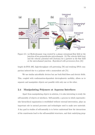 14
Figure 2.5: (a) Hydrodynamic trap created by a planar extensional ﬂow ﬁeld at the
junction of two perpendicular microchannels. (b) The velocity ﬁeld (top)
and the velocity potential well (bottom) for a particle in the ﬂow ﬁeld
at the microchannel junction. Reproduced with permission from [61].
length ds-DNA [69], high-throughput cell patterning [70] and studying DNA com-
paction induced due to a polymer with a monovalent salt [71].
We use similar microﬂuidic devices but use both ﬂuid ﬂows and electric ﬁelds.
This, coupled with conformation-dependent electrophoretic mobility, allows us to
separate and manipulate objects not possible with only one or the other.
2.4 Manipulating Polymers at Aqueous Interfaces
Apart from manipulating objects in solution, it is also interesting to study the
self-assembly of objects at interfaces. Self-assembly, a process in which supermolec-
ular hierarchical organization is established without external intervention, plays an
important role in natural processes and technologies used to make new materials.
A key goal in studies of self-assembly is to better understand how the interactions
of the constituents lead to the self-assembled structures, and their underlying prop-
 