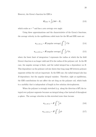 20
However, the Green’s function for EHI is
GEHI ∝
1
r3
(3ˆrˆr − I), (3.3)
which scales as r−3
and has a zero average over angle.
Using these approximations and the characteristics of the Green’s functions,
the average velocity in the equilibrium coiled state for the HI and EHI cases are
vave,HI,eq ∼ F (angular average)
R
ℓ
1
r
r2
dr (3.4)
vave,EHI,eq ∼ F (angular average)
R
ℓ
1
r3
r2
dr, (3.5)
where the lower limit of integration ℓ represents the radius at which the far ﬁeld
Green’s function is no longer valid and R is the radius of the polymer coil. In the HI
case, the angular average is ﬁnite, and the radial integral has a dependence on R.
This dependence on the polymer coil size shows that long range HI between polymer
segments within the coil are important. In the EHI case, the radial integral also has
R dependence, but the angular integral vanishes. Therefore, right at equilibrium,
the EHI contributions do not aﬀect the net drag on the polymer coil, which leads
to a mobility that is independent of length in free solution electrophoresis.
When the polymer is strongly stretched (e.g. along the direction of F ) the in-
tegral over polymer segments becomes an integral along a line instead of throughout
a sphere. The average velocities in this stretched state then become
vave,HI,st ∼ F
L
ℓ
1
r
dr (3.6)
vave,EHI,st ∼ F
L
ℓ
1
r3
dr (3.7)
 