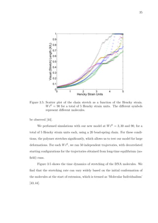 35
0 1 2 3 4 5
0
0.1
0.2
0.3
0.4
0.5
0.6
0.7
0.8
0.9
1
Hencky Strain Units
Visual(Stretch)Length(X/L)
Figure 3.5: Scatter plot of the chain stretch as a function of the Hencky strain.
WiE
= 90 for a total of 5 Hencky strain units. The diﬀerent symbols
represent diﬀerent molecules.
be observed [44].
We performed simulations with our new model at WiE
= 3, 30 and 90, for a
total of 5 Hencky strain units each, using a 20 bead-spring chain. For these condi-
tions, the polymer stretches signiﬁcantly, which allows us to test our model for large
deformations. For each WiE
, we ran 50 independent trajectories, with decorrelated
starting conﬁgurations for the trajectories obtained from long-time equilibrium (no-
ﬁeld) runs.
Figure 3.5 shows the time dynamics of stretching of the DNA molecules. We
ﬁnd that the stretching rate can vary widely based on the initial conformation of
the molecules at the start of extension, which is termed as ‘Molecular Individualism’
[43,44].
 