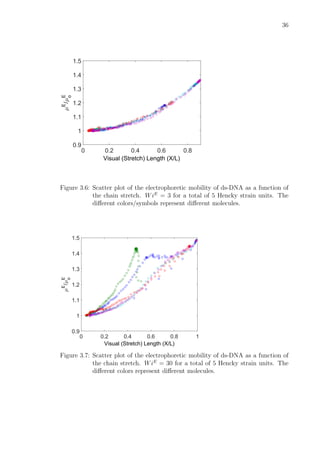 36
Visual (Stretch) Length (X/L)
0 0.2 0.4 0.6 0.8
µE
/µE
o
0.9
1
1.1
1.2
1.3
1.4
1.5
Figure 3.6: Scatter plot of the electrophoretic mobility of ds-DNA as a function of
the chain stretch. WiE
= 3 for a total of 5 Hencky strain units. The
diﬀerent colors/symbols represent diﬀerent molecules.
Visual (Stretch) Length (X/L)
0 0.2 0.4 0.6 0.8 1
µE
/µE
o
0.9
1
1.1
1.2
1.3
1.4
1.5
Figure 3.7: Scatter plot of the electrophoretic mobility of ds-DNA as a function of
the chain stretch. WiE
= 30 for a total of 5 Hencky strain units. The
diﬀerent colors represent diﬀerent molecules.
 