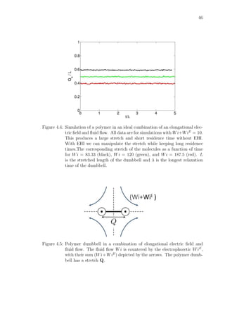 46
Figure 4.4: Simulation of a polymer in an ideal combination of an elongational elec-
tric ﬁeld and ﬂuid ﬂow. All data are for simulations with Wi+WiE
= 10.
This produces a large stretch and short residence time without EHI.
With EHI we can manipulate the stretch while keeping long residence
times.The corresponding stretch of the molecules as a function of time
for Wi = 83.33 (black), Wi = 120 (green), and Wi = 187.5 (red). L
is the stretched length of the dumbbell and λ is the longest relaxation
time of the dumbbell.
Figure 4.5: Polymer dumbbell in a combination of elongational electric ﬁeld and
ﬂuid ﬂow. The ﬂuid ﬂow Wi is countered by the electrophoretic WiE
,
with their sum (Wi+WiE
) depicted by the arrows. The polymer dumb-
bell has a stretch Q.
 