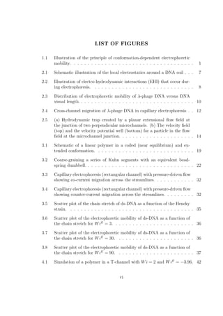 LIST OF FIGURES
1.1 Illustration of the principle of conformation-dependent electrophoretic
mobility. . . . . . . . . . . . . . . . . . . . . . . . . . . . . . . . . . . . 1
2.1 Schematic illustration of the local electrostatics around a DNA coil . . . 7
2.2 Illustration of electro-hydrodynamic interactions (EHI) that occur dur-
ing electrophoresis. . . . . . . . . . . . . . . . . . . . . . . . . . . . . . 8
2.3 Distribution of electrophoretic mobility of λ-phage DNA versus DNA
visual length. . . . . . . . . . . . . . . . . . . . . . . . . . . . . . . . . . 10
2.4 Cross-channel migration of λ-phage DNA in capillary electrophoresis . . 12
2.5 (a) Hydrodynamic trap created by a planar extensional ﬂow ﬁeld at
the junction of two perpendicular microchannels. (b) The velocity ﬁeld
(top) and the velocity potential well (bottom) for a particle in the ﬂow
ﬁeld at the microchannel junction. . . . . . . . . . . . . . . . . . . . . . 14
3.1 Schematic of a linear polymer in a coiled (near equilibrium) and ex-
tended conformation. . . . . . . . . . . . . . . . . . . . . . . . . . . . . 19
3.2 Coarse-graining a series of Kuhn segments with an equivalent bead-
spring dumbbell. . . . . . . . . . . . . . . . . . . . . . . . . . . . . . . . 22
3.3 Capillary electrophoresis (rectangular channel) with pressure-driven ﬂow
showing co-current migration across the streamlines. . . . . . . . . . . . 32
3.4 Capillary electrophoresis (rectangular channel) with pressure-driven ﬂow
showing counter-current migration across the streamlines. . . . . . . . . 32
3.5 Scatter plot of the chain stretch of ds-DNA as a function of the Hencky
strain. . . . . . . . . . . . . . . . . . . . . . . . . . . . . . . . . . . . . 35
3.6 Scatter plot of the electrophoretic mobility of ds-DNA as a function of
the chain stretch for WiE
= 3. . . . . . . . . . . . . . . . . . . . . . . . 36
3.7 Scatter plot of the electrophoretic mobility of ds-DNA as a function of
the chain stretch for WiE
= 30. . . . . . . . . . . . . . . . . . . . . . . 36
3.8 Scatter plot of the electrophoretic mobility of ds-DNA as a function of
the chain stretch for WiE
= 90. . . . . . . . . . . . . . . . . . . . . . . 37
4.1 Simulation of a polymer in a T-channel with Wi = 2 and WiE
= −3.96. 42
vi
 