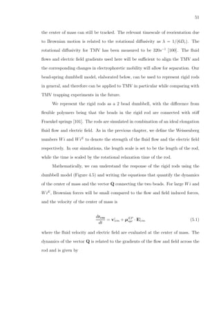 51
the center of mass can still be tracked. The relevant timescale of reorientation due
to Brownian motion is related to the rotational diﬀusivity as λ = 1/(6Dr). The
rotational diﬀusivity for TMV has been measured to be 320s−1
[100]. The ﬂuid
ﬂows and electric ﬁeld gradients used here will be suﬃcient to align the TMV and
the corresponding changes in electrophoretic mobility will allow for separation. Our
bead-spring dumbbell model, elaborated below, can be used to represent rigid rods
in general, and therefore can be applied to TMV in particular while comparing with
TMV trapping experiments in the future.
We represent the rigid rods as a 2 bead dumbbell, with the diﬀerence from
ﬂexible polymers being that the beads in the rigid rod are connected with stiﬀ
Fraenkel springs [101]. The rods are simulated in combination of an ideal elongation
ﬂuid ﬂow and electric ﬁeld. As in the previous chapter, we deﬁne the Weissenberg
numbers Wi and WiE
to denote the strength of the ﬂuid ﬂow and the electric ﬁeld
respectively. In our simulations, the length scale is set to be the length of the rod,
while the time is scaled by the rotational relaxation time of the rod.
Mathematically, we can understand the response of the rigid rods using the
dumbbell model (Figure 4.5) and writing the equations that quantify the dynamics
of the center of mass and the vector Q connecting the two beads. For large Wi and
WiE
, Brownian forces will be small compared to the ﬂow and ﬁeld induced forces,
and the velocity of the center of mass is
drcm
dt
= v|cm + µEP
spr · E|cm (5.1)
where the ﬂuid velocity and electric ﬁeld are evaluated at the center of mass. The
dynamics of the vector Q is related to the gradients of the ﬂow and ﬁeld across the
rod and is given by
 