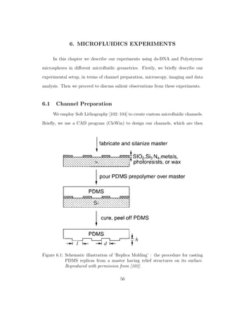 6. MICROFLUIDICS EXPERIMENTS
In this chapter we describe our experiments using ds-DNA and Polystyrene
microspheres in diﬀerent microﬂuidic geometries. Firstly, we brieﬂy describe our
experimental setup, in terms of channel preparation, microscopy, imaging and data
analysis. Then we proceed to discuss salient observations from these experiments.
6.1 Channel Preparation
We employ Soft Lithography [102–104] to create custom microﬂuidic channels.
Brieﬂy, we use a CAD program (CleWin) to design our channels, which are then
Figure 6.1: Schematic illustration of ‘Replica Molding’ : the procedure for casting
PDMS replicas from a master having relief structures on its surface.
Reproduced with permission from [102].
56
 