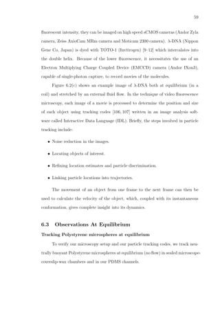 59
ﬂuorescent intensity, they can be imaged on high speed sCMOS cameras (Andor Zyla
camera, Zeiss AxioCam MRm camera and Moticam 2300 camera). λ-DNA (Nippon
Gene Co, Japan) is dyed with TOTO-1 (Invitrogen) [9–12] which intercalates into
the double helix. Because of the lower ﬂuorescence, it necessitates the use of an
Electron Multiplying Charge Coupled Device (EMCCD) camera (Andor IXon3),
capable of single-photon capture, to record movies of the molecules.
Figure 6.2(c) shows an example image of λ-DNA both at equilibrium (in a
coil) and stretched by an external ﬂuid ﬂow. In the technique of video ﬂuorescence
microscopy, each image of a movie is processed to determine the position and size
of each object using tracking codes [106, 107] written in an image analysis soft-
ware called Interactive Data Language (IDL). Brieﬂy, the steps involved in particle
tracking include:
• Noise reduction in the images.
• Locating objects of interest.
• Reﬁning location estimates and particle discrimination.
• Linking particle locations into trajectories.
The movement of an object from one frame to the next frame can then be
used to calculate the velocity of the object, which, coupled with its instantaneous
conformation, gives complete insight into its dynamics.
6.3 Observations At Equilibrium
Tracking Polystyrene microspheres at equilibrium
To verify our microscopy setup and our particle tracking codes, we track neu-
trally buoyant Polystyrene microspheres at equilibrium (no ﬂow) in sealed microscope-
coverslip-wax chambers and in our PDMS channels.
 