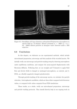 67
Figure 6.5: Streaklines of 0.5µm diameter carboxylated Polystyrene microspheres in
electric ﬁeld in a T-channel. Electric potential φ1 = −200V, φ2 = φ3 =
0V . 1000X diluted particles in ultrapure water observed under a 40X
objective.
6.6 Conclusions
In this chapter, we elaborate on our experimental methods, which include
microchannel preparation, microscopy and data analysis of the recorded movies. We
initially verify our microscopy and particle-tracking setup by observing microspheres
under equilibrium conditions, and compare the mean-squared displacements with
Brownian diﬀusion. Following that, we use straight and T-channels to apply ﬂuid
ﬂow and electric ﬁelds to charged or uncharged microspheres, as controls, and λ-
DNA, as a ﬂexible negatively charged polyelectrolyte.
Through particle-tracking of the microscopy movies, we calculate the particle
velocities / electrophoretic mobilities, which are then either compared with literature
values, or compared with values computed from FEM simulations.
These results, as a whole, verify our microchannel preparation, microscopy
and particle tracking protocols. They should directly help in our ongoing work on
 
