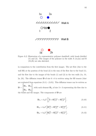 83
000000
00
111111
11
000000000
111111111
000000000
000
111111111
111
Wall B
Wall A
2b1b
1 2
2a1a
Figure A.2: Illustration of a representative polymer dumbbell, with beads labelled
(1) and (2). The images of the polymer in the walls A (1a,2a) and B
(1b,2b) are also sketched.
in comparison to the contribution from the ﬁrst images. The net ﬂow (due to the
wall HI) at the position of the bead (2) is the sum of the ﬂow due to the bead (1),
and the ﬂow due to the images of the beads (1) and (2) in the two walls (1a, 1b,
2a, 2b). The diﬀusion tensor D of size 6 × 6 is written using the HI tensors (that
are evaluated from equations (A.1) - (A.9)). This diﬀusion tensor can be written as
D =



D11 D12
D21 D22


, with each element Dij of size 3 × 3 representing the ﬂow due to
the beads and the images. The components of D are
D11 = kBT
1
ζ
I + Ωimage
1,1a + Ωimage
1,1b , (A.10)
D12 = kBT ΩOB
1,2 + Ωimage
1,2a + Ωimage
1,2b , (A.11)
D21 = kBT ΩOB
2,1 + Ωimage
2,1a + Ωimage
2,1b , (A.12)
 