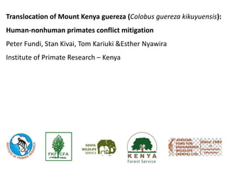 Translocation of Mount Kenya guereza (Colobus guereza kikuyuensis):
Human-nonhuman primates conflict mitigation
Peter Fundi, Stan Kivai, Tom Kariuki &Esther Nyawira
Institute of Primate Research – Kenya
 