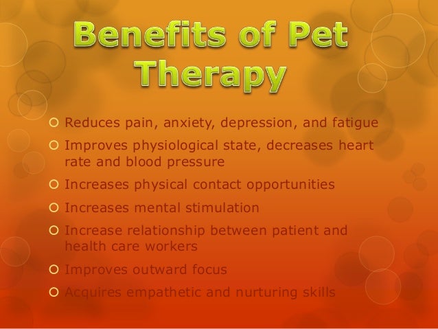 dogs for mental health therapy