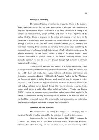 S. Martin (2010) Surf Resource MBA Thesis | PDF