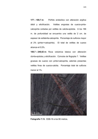 123
177 – 189,7 m: Pórfido andesítico con alteración argílica
débil y silicificación. Vetillas angostas de cuarzo-pirita-
calcopirita cortadas por vetillas de calcita-epidota. A los 186
m. de profundidad se encuentra una vetilla de 2 cm. de
espesor de esfalerita-calcopirita. Porcentaje de sulfuros mayor
al 2% (pirita>>calcopirita). El total de vetillas de cuarzo
alcanza el 0,5%.
189,7 – 249,02 m: Roca volcánica básica con alteración
clorita-epidota y silicificación. Cúmulos de flogopita ?. Vetillas
gruesas de cuarzo con pirita>calcopirita, además presentes
vetillas finas de cuarzo-calcita. Porcentaje total de sulfuros
menor al 1%.
Fotografía 7.13. DSB-16 a los 66 metros.
 