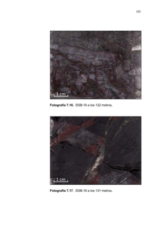 125
Fotografía 7.16. DSB-16 a los 122 metros.
Fotografía 7.17. DSB-16 a los 131 metros.
 