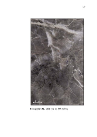127
Fotografía 7.19. DSB-16 a los 171 metros.
 