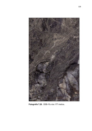 128
Fotografía 7.20. DSB-16 a los 177 metros.
 