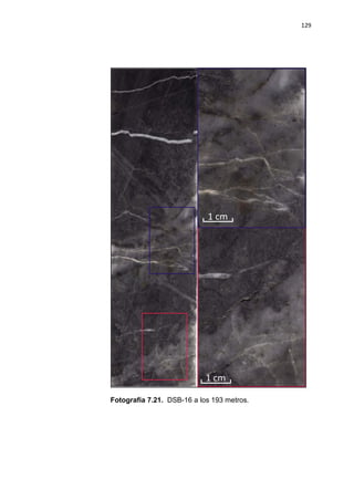 129
Fotografía 7.21. DSB-16 a los 193 metros.
 