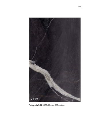131
Fotografía 7.23. DSB-16 a los 207 metros.
 