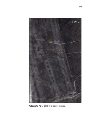 132
Fotografía 7.24. DSB-16 a los 211 metros.
 