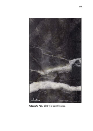 133
Fotografía 7.25. DSB-16 a los 220 metros.
 