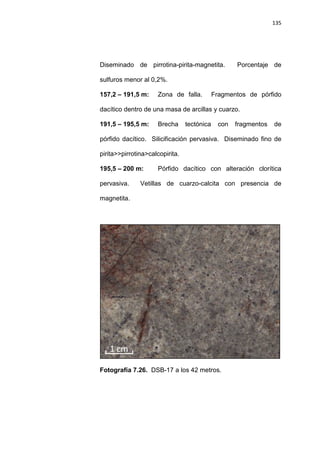 135
Diseminado de pirrotina-pirita-magnetita. Porcentaje de
sulfuros menor al 0,2%.
157,2 – 191,5 m: Zona de falla. Fragmentos de pórfido
dacítico dentro de una masa de arcillas y cuarzo.
191,5 – 195,5 m: Brecha tectónica con fragmentos de
pórfido dacítico. Silicificación pervasiva. Diseminado fino de
pirita>>pirrotina>calcopirita.
195,5 – 200 m: Pórfido dacítico con alteración clorítica
pervasiva. Vetillas de cuarzo-calcita con presencia de
magnetita.
Fotografía 7.26. DSB-17 a los 42 metros.
 