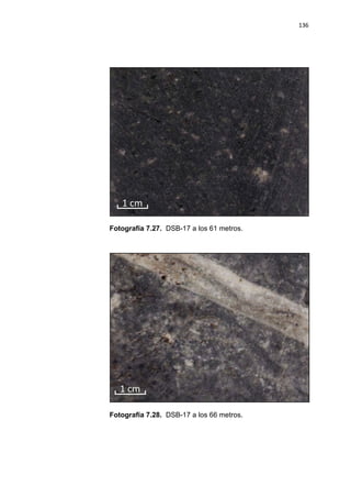136
Fotografía 7.27. DSB-17 a los 61 metros.
Fotografía 7.28. DSB-17 a los 66 metros.
 